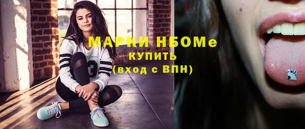 гидра Снежногорск